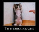 Сергій Федула фотография #50 (источник - https://vk.com/id11432951)