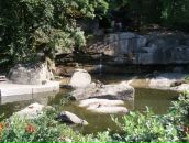 Ігор Носалюк фотография #47 (источник - https://vk.com/id33754899)