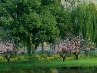 Наталія Сивак фотография #32 (источник - https://vk.com/id58219790)