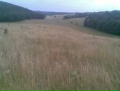 Олександр Міхальов фотография #15 (источник - https://vk.com/id53609426)