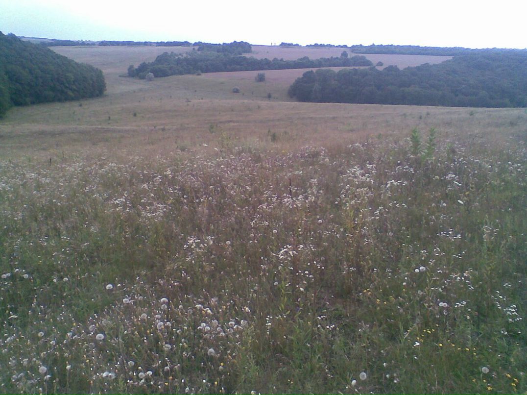 Олександр Міхальов фотография #13