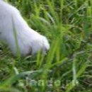 Наталя Кузів фотография #1