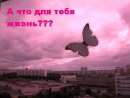 Машка Шімон фотография #25 (источник - https://vk.com/id41746374)