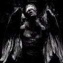 Фотография Неадекват Овощ