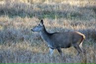 Роман Нутерман фотография #13 (источник - https://vk.com/id766871)