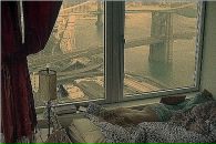 Данил Сергеев фотография #46 (источник - https://vk.com/id4598555)