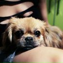 Фотография Lemonade Nataliia