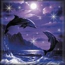 Вікторія Кибалюк фотография #24 (источник - https://vk.com/id37060711)