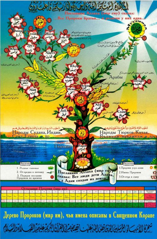 Aston Starks фотография #17