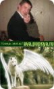 Фотография Грачёва Александра
