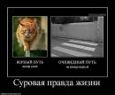 Даниїл Сівак фотография #34 (источник - https://vk.com/id112114676)