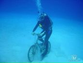 Фотография Лекомцева Дениса