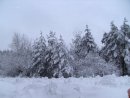 Андрій Шот фотография #11 (источник - https://vk.com/id55826127)