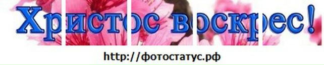 Каміла Андріанова фотография #8 (источник - https://vk.com/id132585986)