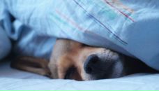 Фотография Жуковой Анастасии