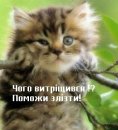 Василь Калітовський фотография #3 (источник - https://vk.com/id38209622)