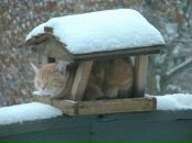 Фотография Щеглова Сергея