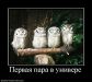  фотография #23