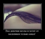 Seductive Criminal фотография #10 (источник - https://vk.com/id6020780)