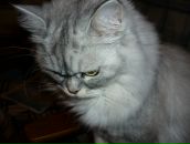 Фотография Путилиной Ольги