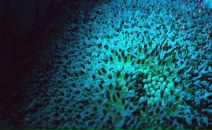 Рустем Гайсин фотография #43 (источник - https://vk.com/id3822511)