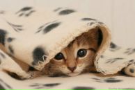 Фотография Ефимовой Иры