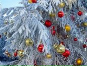 Фотография Кудрявцевой Людмилы