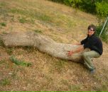 Фотография Никитина Максима