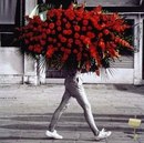 Іра Нога фотография #50 (источник - https://vk.com/id160809454)