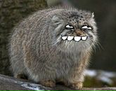 Фотография Леонид Барышников