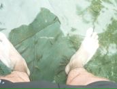 Фотография Нечаева Вадима