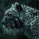 Фотография Сарайкина Максима