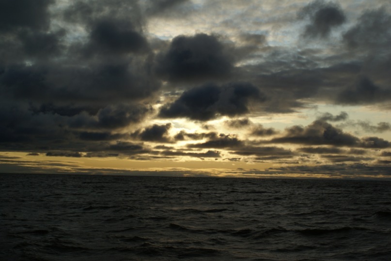 Дмитрий Носков фотография #36