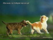 Фотография Жуковой Марии