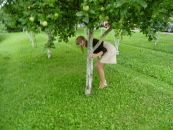 Вікторія Лехновська фотография #49 (источник - https://vk.com/id71582199)