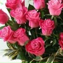 Ілонка Божовська фотография #41 (источник - https://vk.com/id154366921)