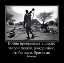 Віталій Тхоревський фотография #7 (источник - https://vk.com/id348094737)