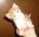 Фотография Мартыновой Анны