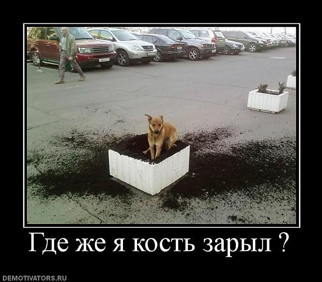 Гера Бартенев фотография #31