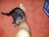 Антон Штанке фотография #50 (источник - https://vk.com/id937277)