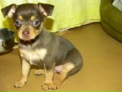 Фотография Обревко Екатерины