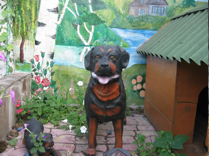 Дымчик Приходько фотография #27