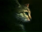 Фотография Заславской Елены