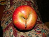 Фотография Горячей Екатерины