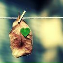 Фотография Шкрыгуновой Оли