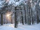 Фотография Иванцовой Марии