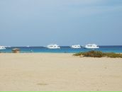 Александр Марченко фотография #17 (источник - https://vk.com/id1196402)