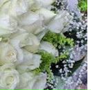 Алима Ибрагимова фотография #33 (источник - https://vk.com/id51221512)