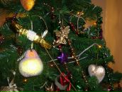 Фотография Стрелкова (Левашко) Екатерины