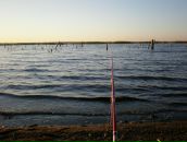 Фотография Данилычева Дениса